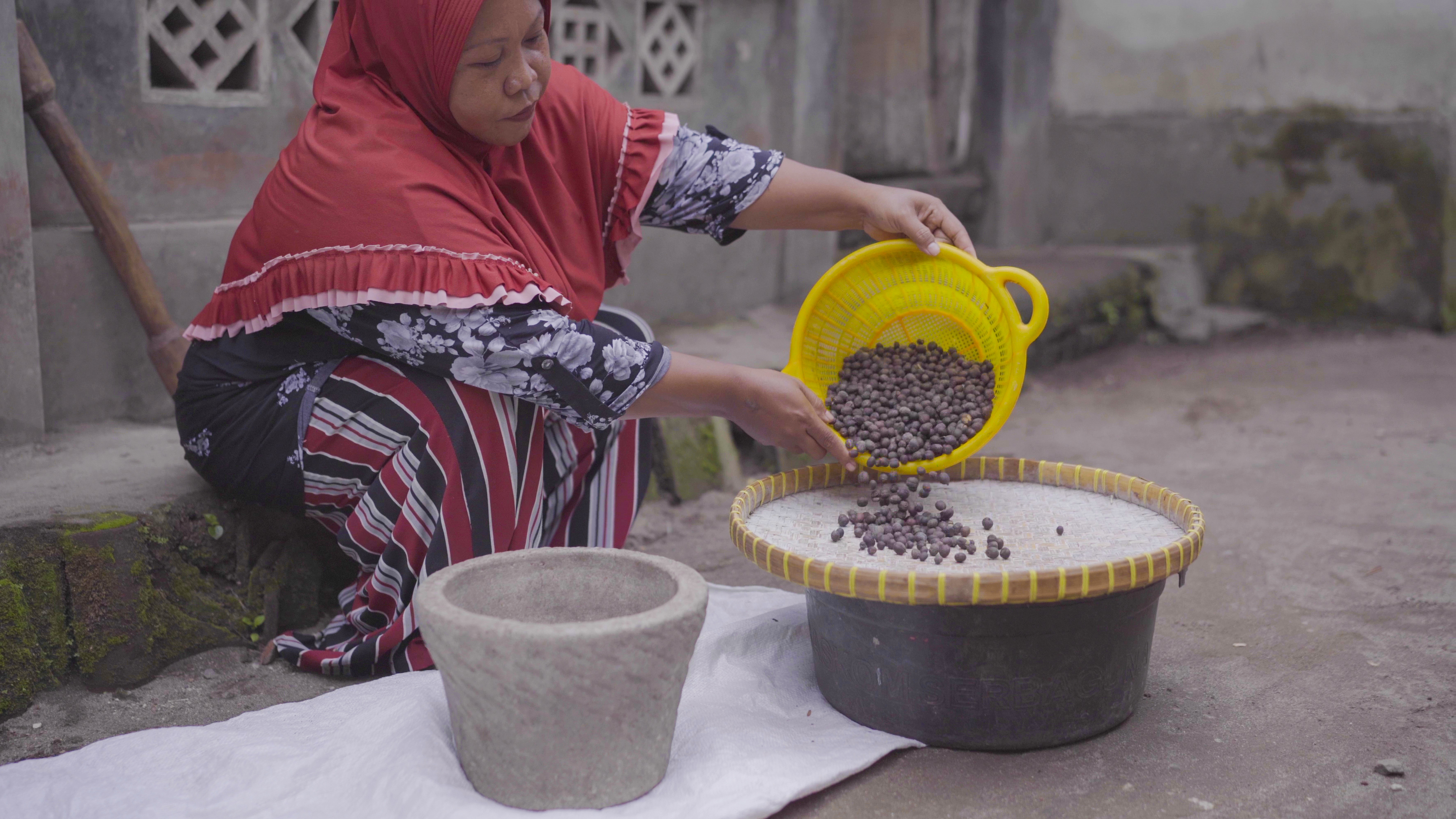 Pengolahan Kopi Tradisional