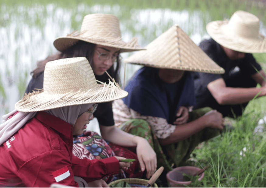 Experience A Village Life